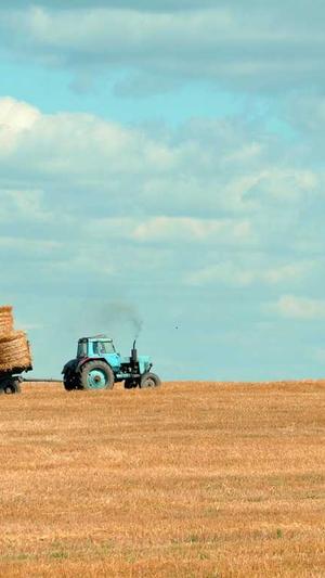 泛目录是什么网站截图1