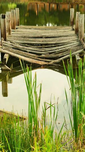 seo综合查询 - 站长工具截图1