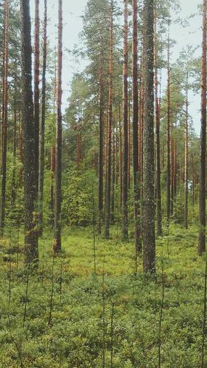 新网站seo优化截图4