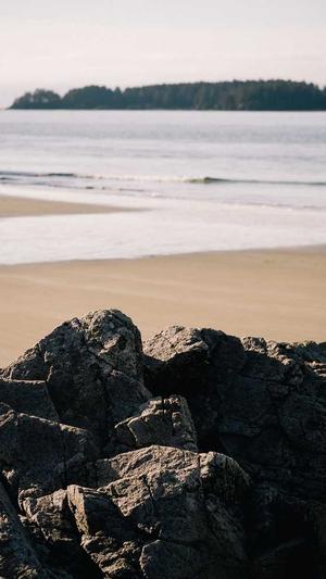 深圳手机网站建设截图1