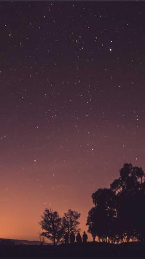 蜘蛛池源码全为zjkwlgs截图3