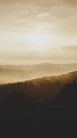 域名seo查询工具截图2