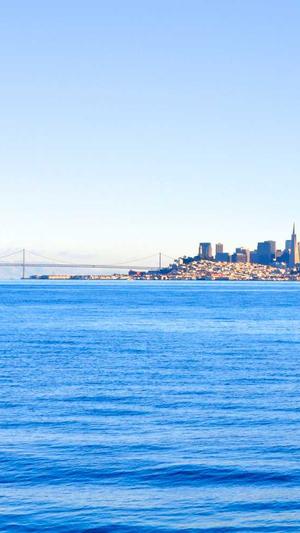 蜘蛛池的搭建技巧图解截图5