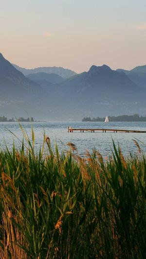 宁波seo优化截图1