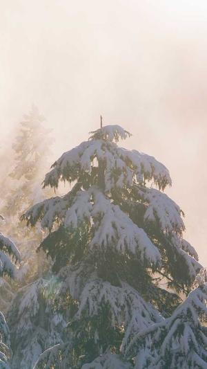 成都网站建设建设截图3