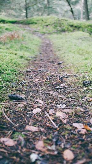 英文seo站长工具截图3