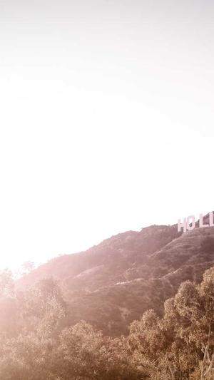 147seo采集工具截图1