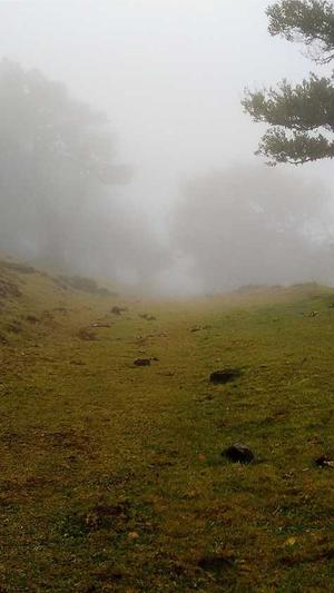 seo优化查询截图2