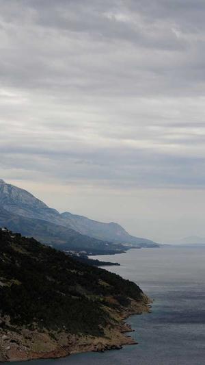 自己搭个蜘蛛池截图2