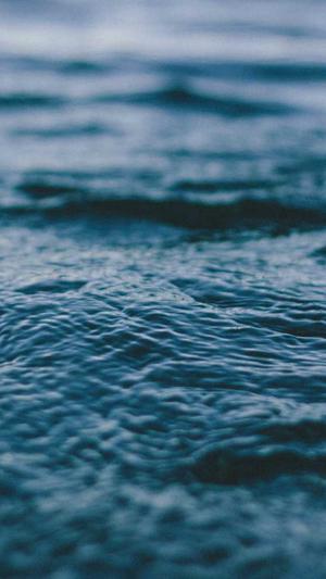 外贸网站建设注意事项和建议截图1