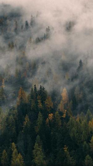 北京网站建设制作截图3