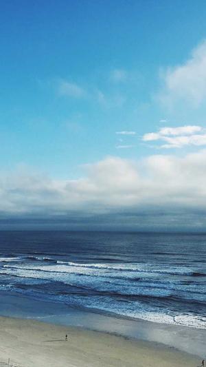 147seo采集工具截图5