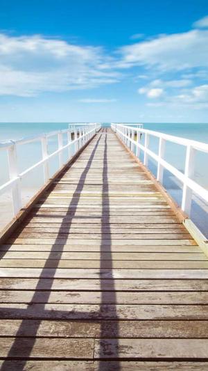 泛目录链接推广产品截图3