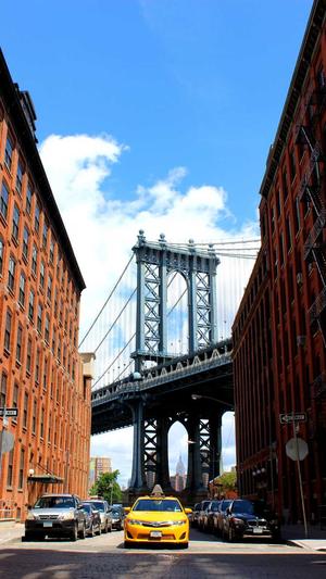 蜘蛛池怎么养域名截图4