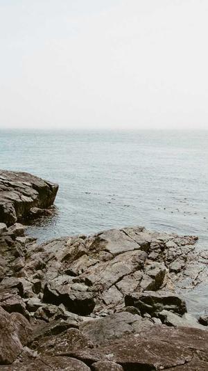 seo超级外链工具怎么用截图2