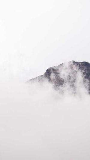 天津seo博客截图2