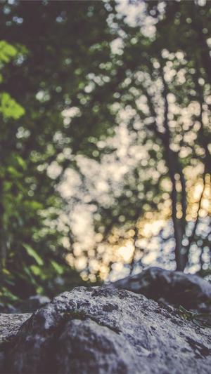 宜昌网站建设截图5