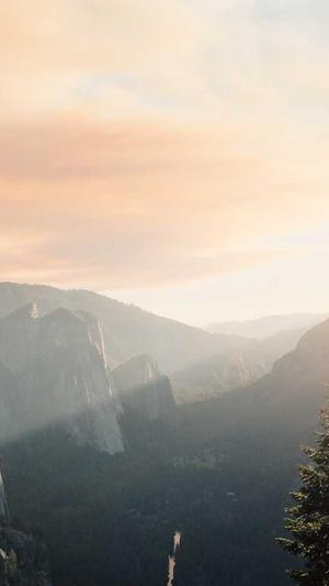 天津seo推广工具截图1