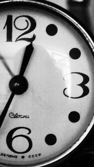 蜘蛛池的搭建技巧图解截图2