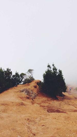 网站建设公司首选截图1