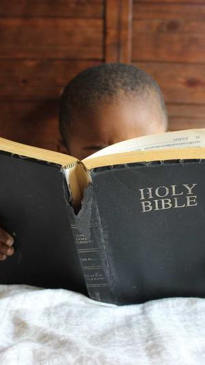 安徽网站建设截图5