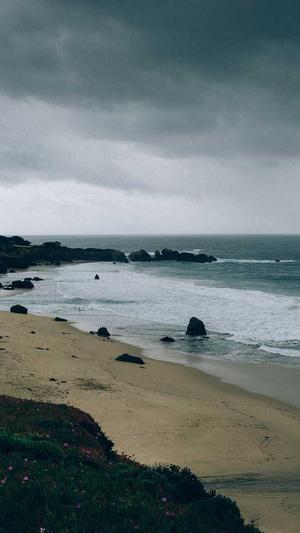 谁租过靠谱的蜘蛛池截图3