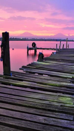 泛目录是什么网站截图3