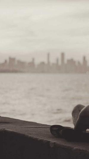 免费蜘蛛池网页版游戏截图2