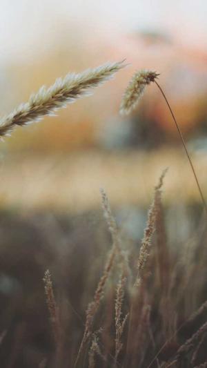 网站建设公司哪家最好截图2